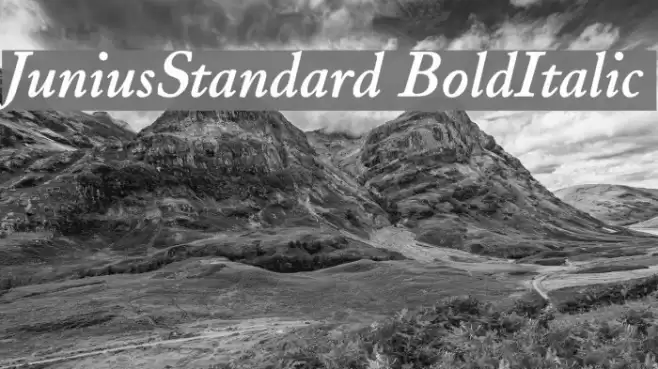JuniusStandard BoldItalic Font examples