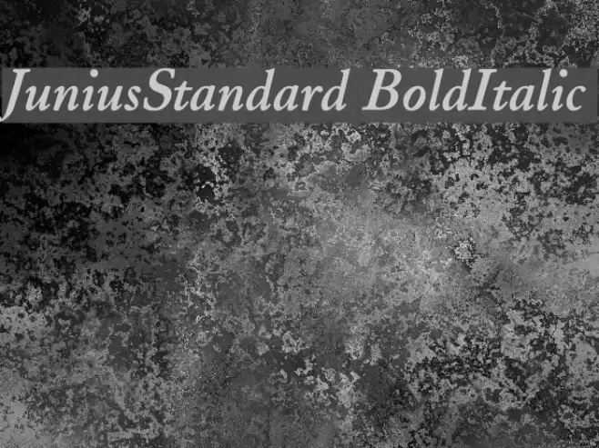JuniusStandard BoldItalic Font examples