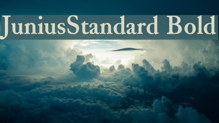 JuniusStandard Bold Font examples