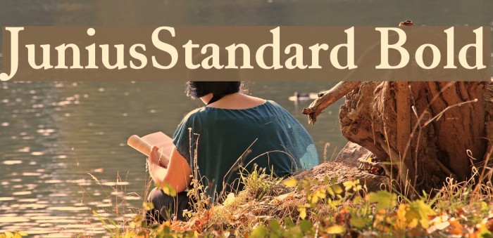 JuniusStandard Bold Font examples