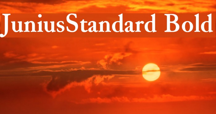 JuniusStandard Bold Font examples