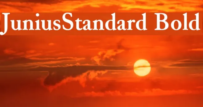 JuniusStandard Bold Example 3