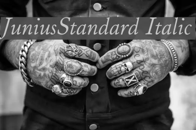 JuniusStandard Italic Font examples