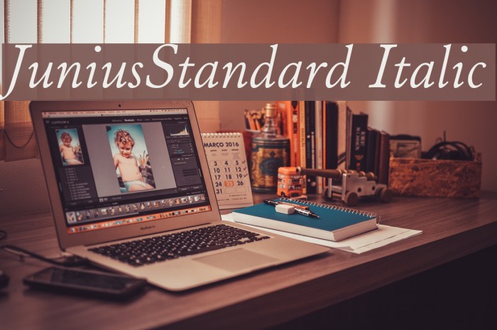 JuniusStandard Italic Font examples