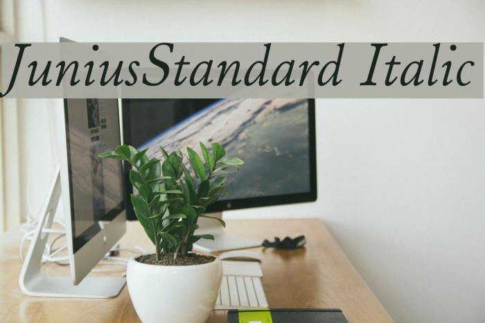 JuniusStandard Italic Font examples