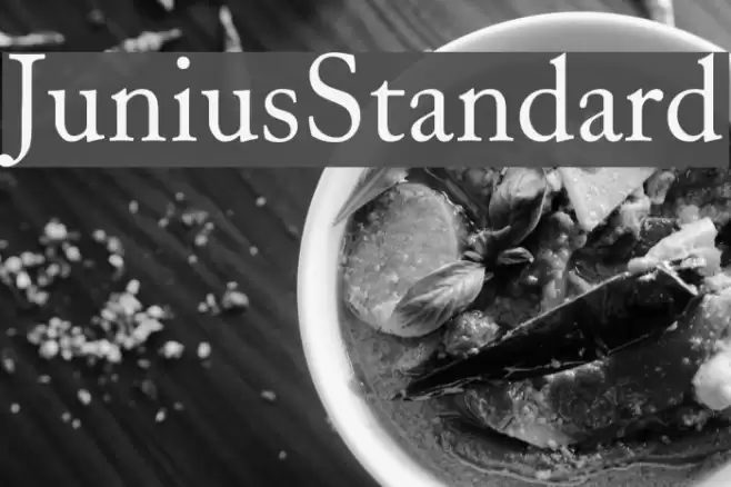 JuniusStandard Font examples