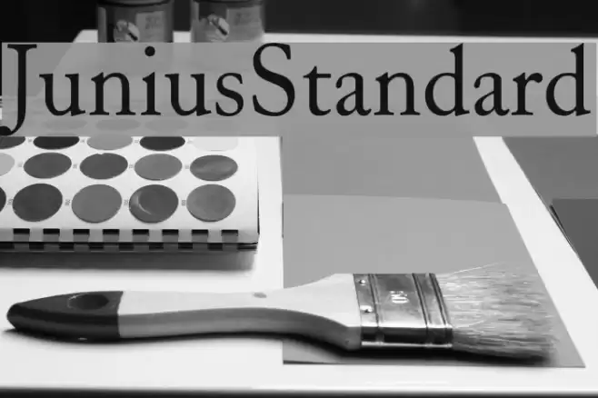 JuniusStandard Font examples