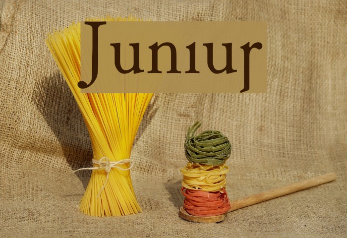 Junius Font examples