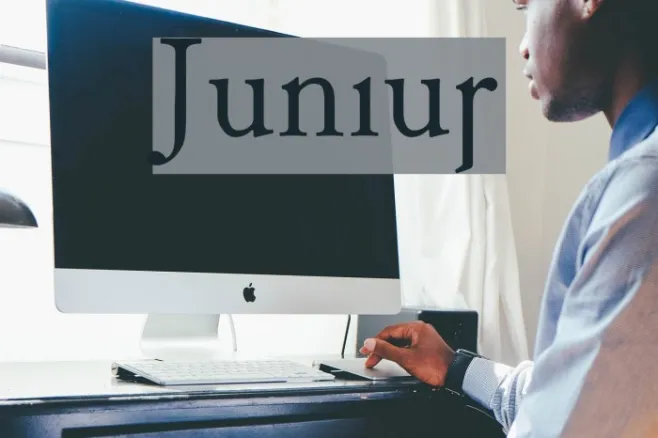 Junius Example 2