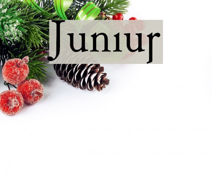 Junius Font examples