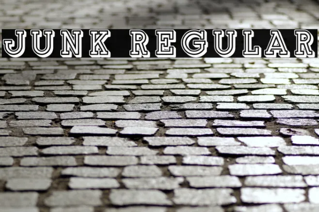 Junk Regular Example 1