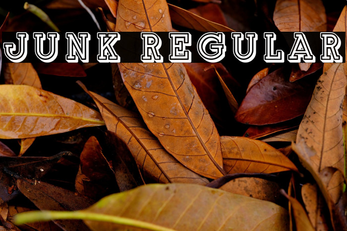 Junk Regular Example 2