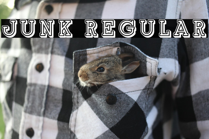 Junk Regular Example 3