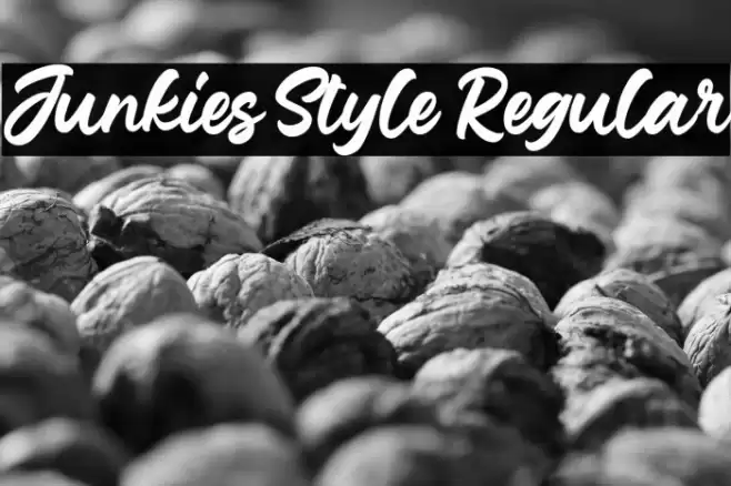 Junkies Style Regular Font examples