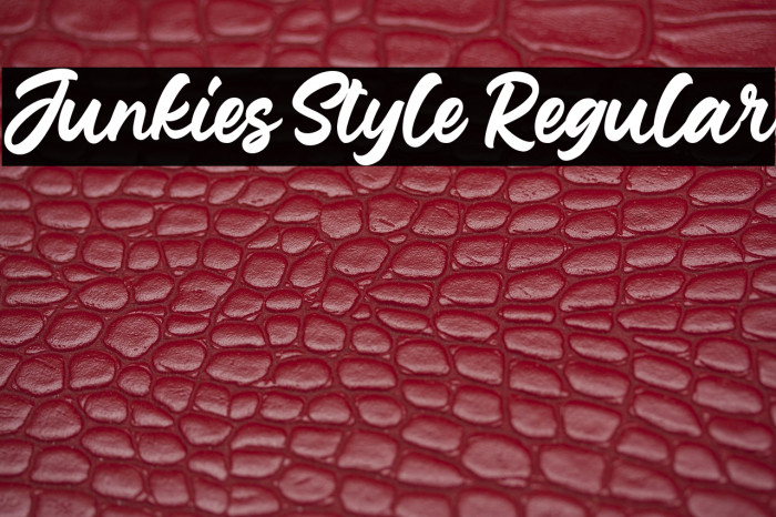 Junkies Style Regular Example 3