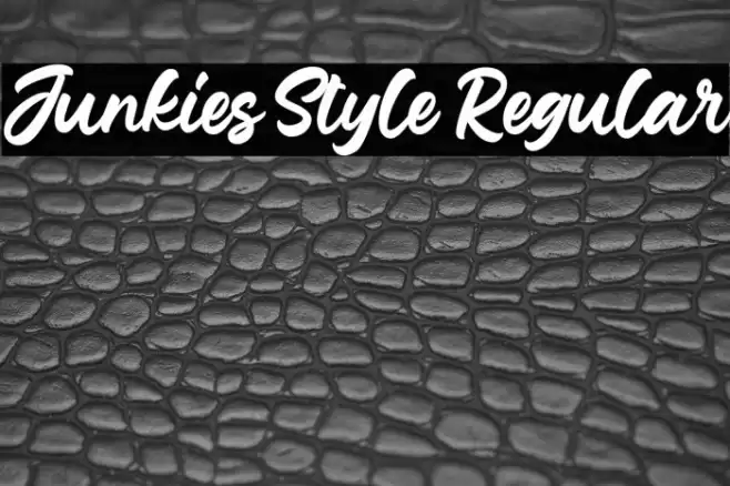Junkies Style Regular Font examples
