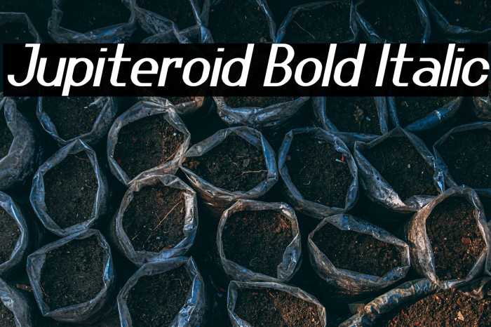 Jupiteroid Bold Italic Example 3