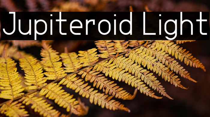 Jupiteroid Light Example 3