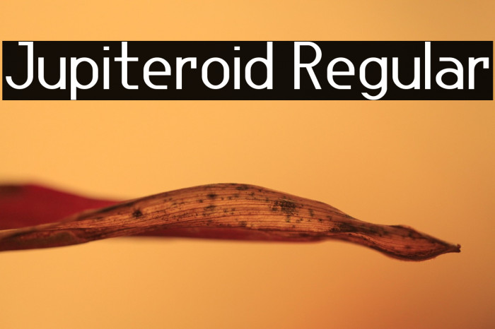 Jupiteroid Regular Example 3