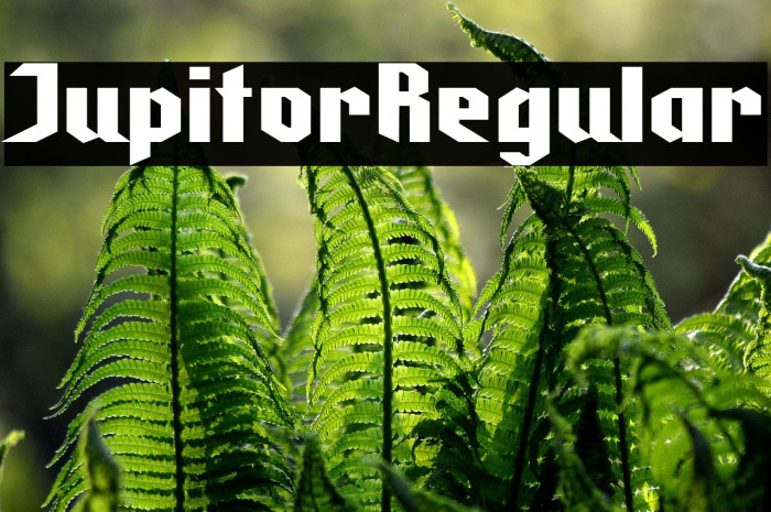 Jupitor Regular Example 2