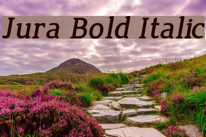 Jura Bold Italic Font examples