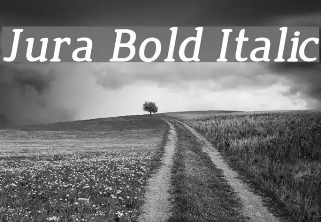 Jura Bold Italic Font examples