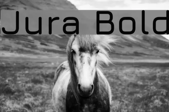 Jura Bold Font examples