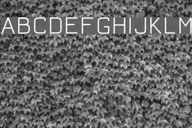 Jura Book Schriftart examples