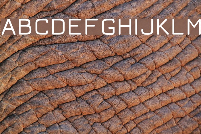 Jura Demi-Bold Font examples