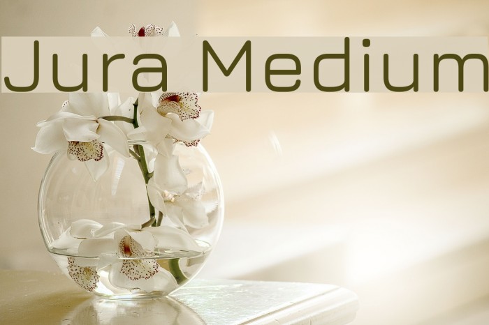 Jura Medium Font examples