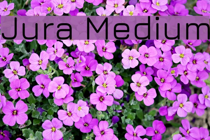 Jura Medium Font examples