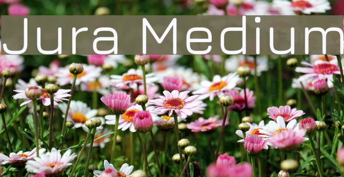 Jura Medium Font examples