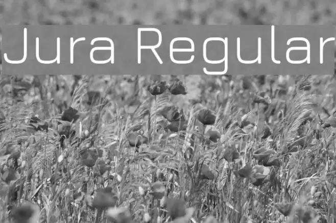 Jura Regular Font examples