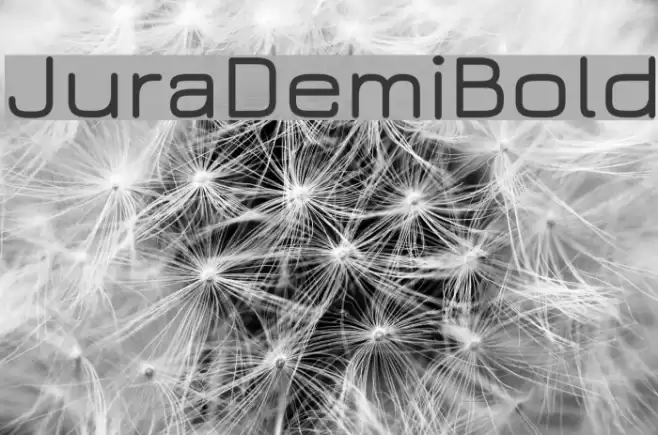 JuraDemiBold Font examples