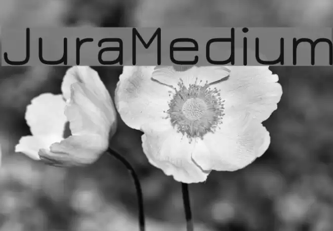 JuraMedium Font examples