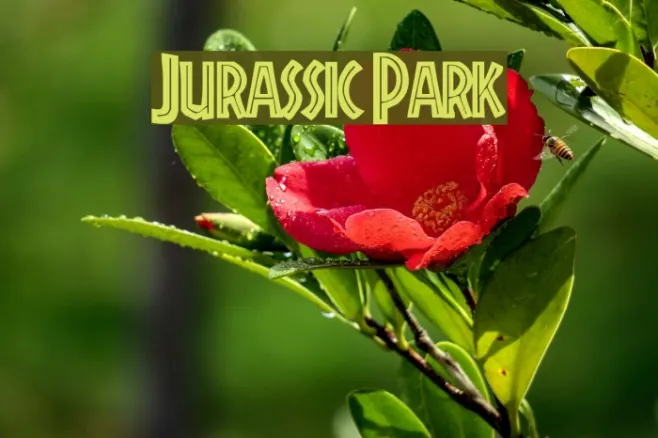 Jurassic Park Example 2