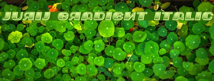 Jurij Gradient Italic Font examples