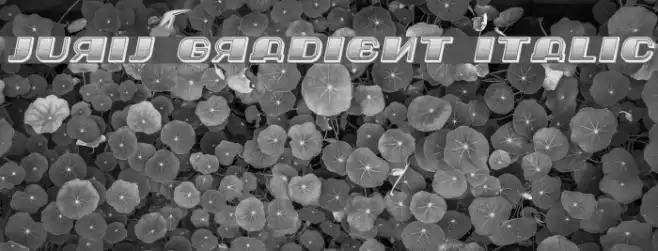 Jurij Gradient Italic Font examples