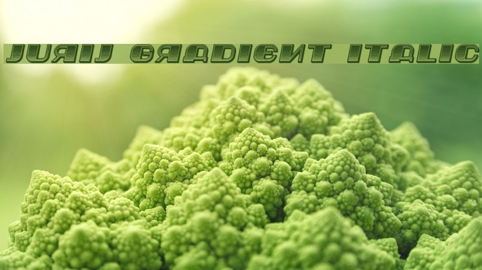 Jurij Gradient Italic Font examples