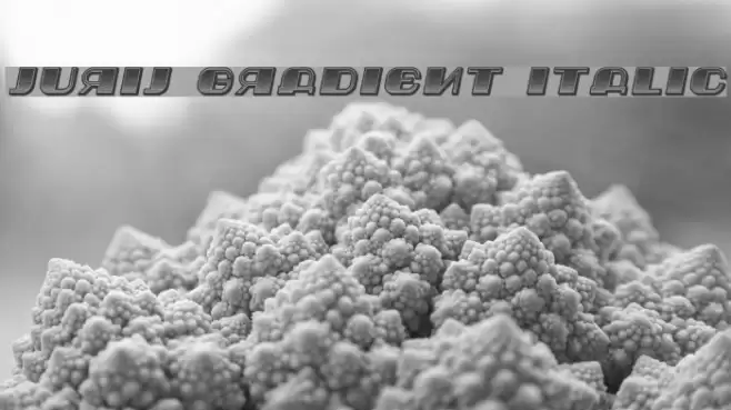 Jurij Gradient Italic Font examples