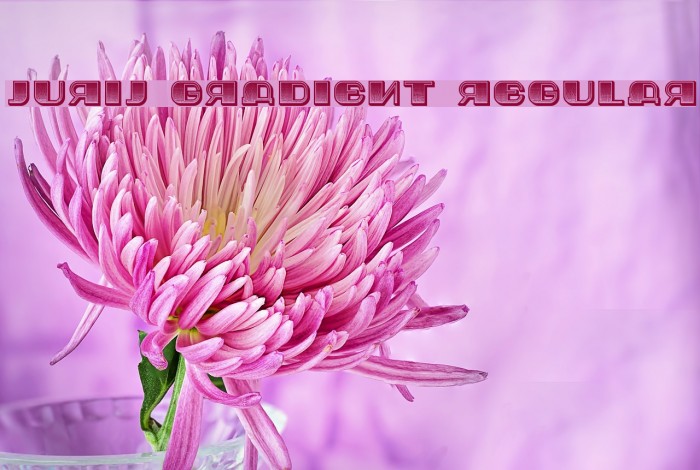 Jurij Gradient Regular Font examples