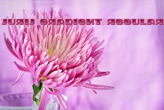 Jurij Gradient Regular Example 1