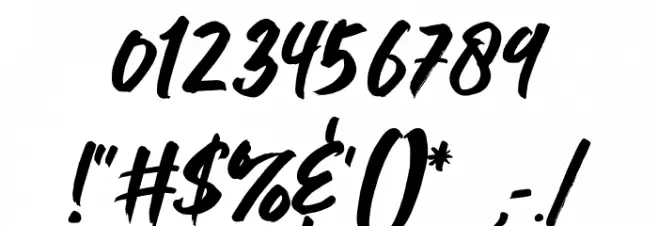 Jushley Shine Font OTHER CHARS