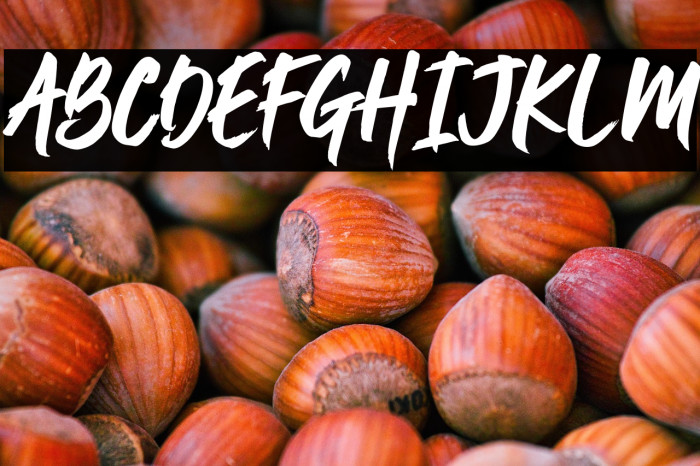 Jushley Shine Example 1