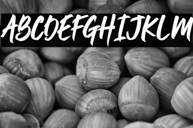 Jushley Shine Font examples