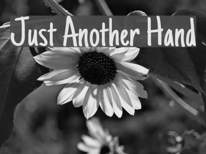 Just Another Hand Font examples