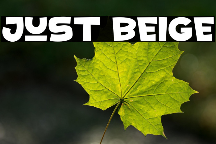 Just Beige Example 2