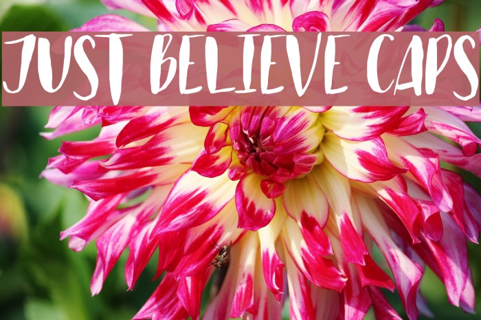 Just Believe Caps Fuentes examples