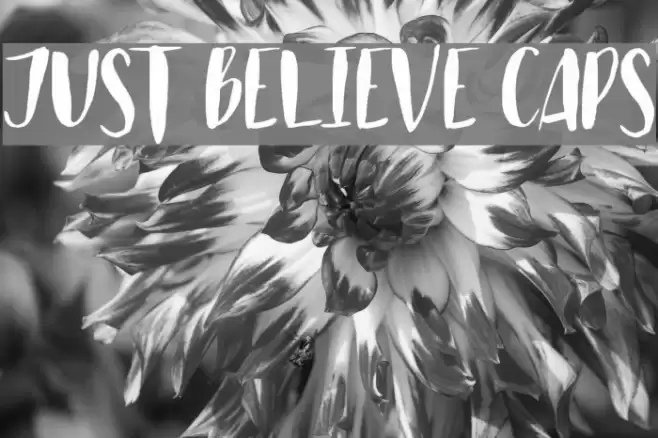 Just Believe Caps Font examples