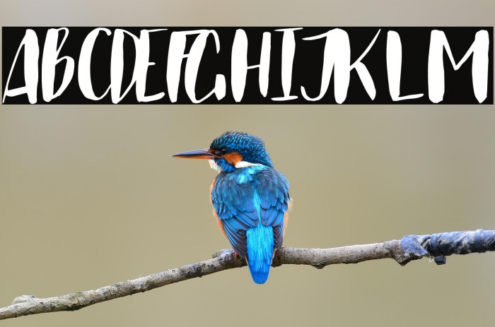 Just Believe Example 1